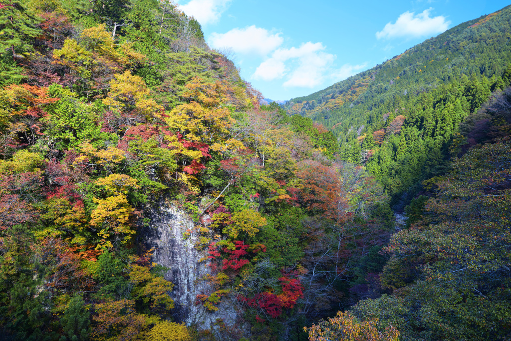 秋色に染まる付知峡