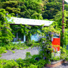 藤に覆われたガソリンスタンド