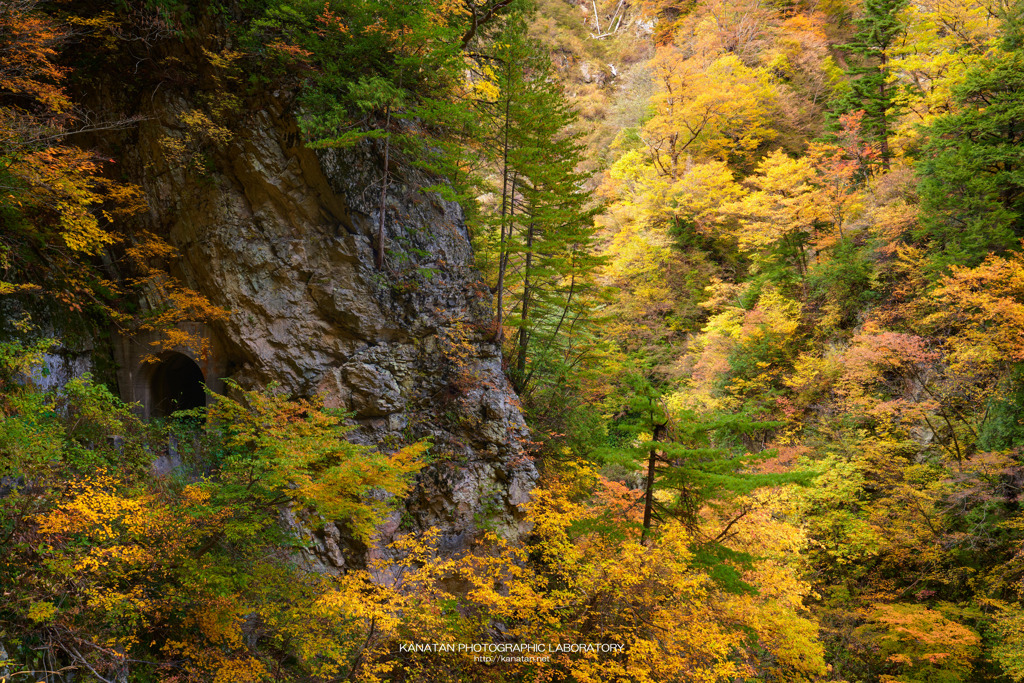 秋色に染める峡谷