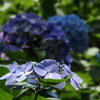 P6130388
