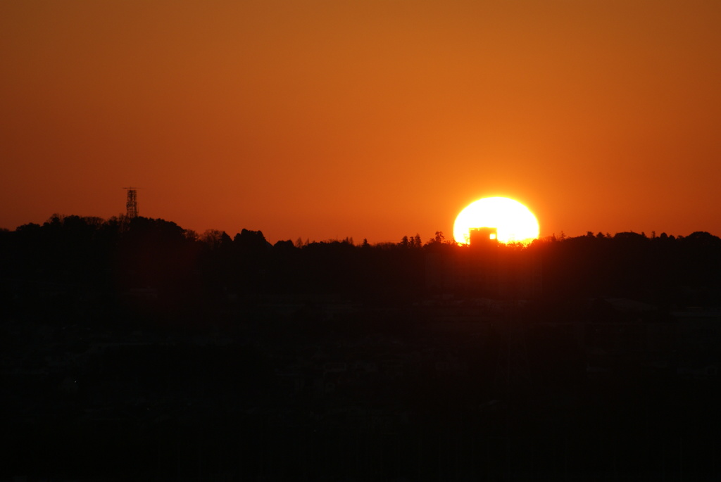 DSC03777