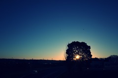 R0012511