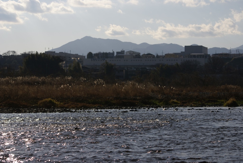 DSC03331