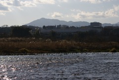 DSC03331