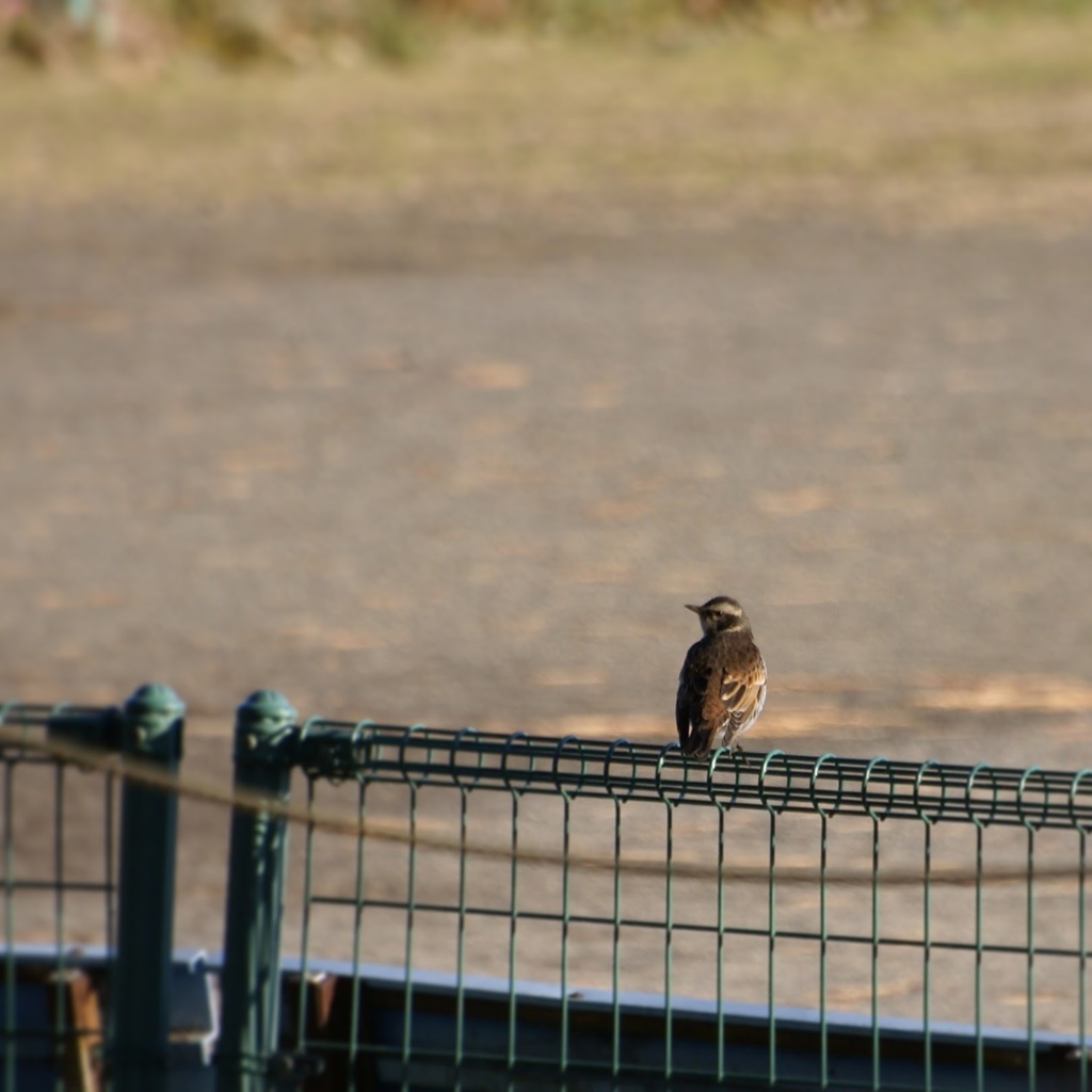 IMG_20170101_135613_272