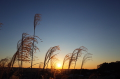 R0012707