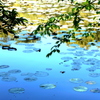 青き湖