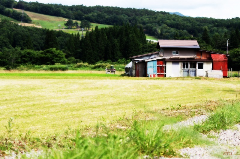 高原
