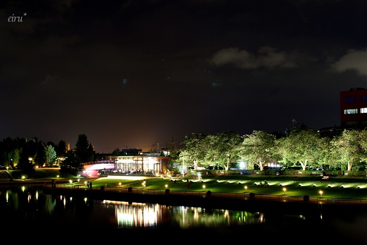 スタバの見える公園