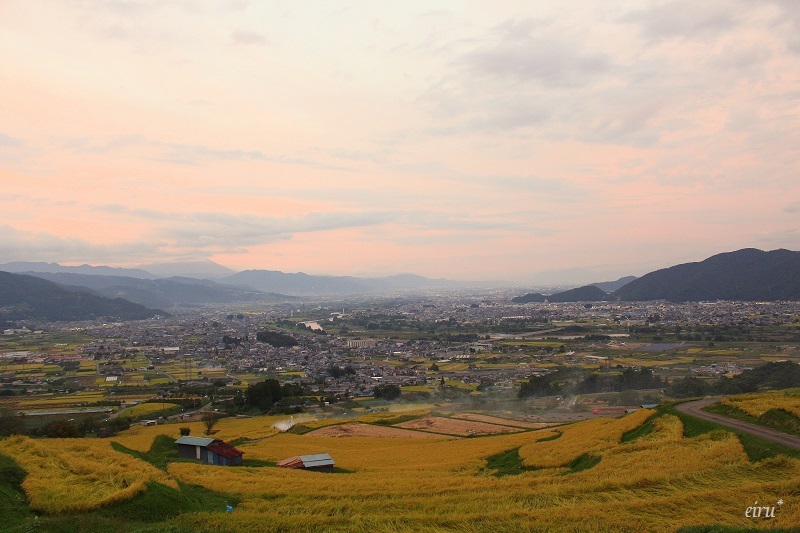 姨捨の棚田