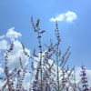 空へ