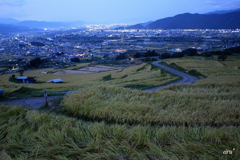 姨捨の棚田