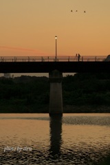 橋の上のカメラマン