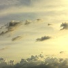 雲