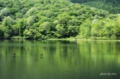 鏡池