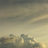 雲