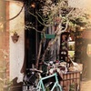 自転車