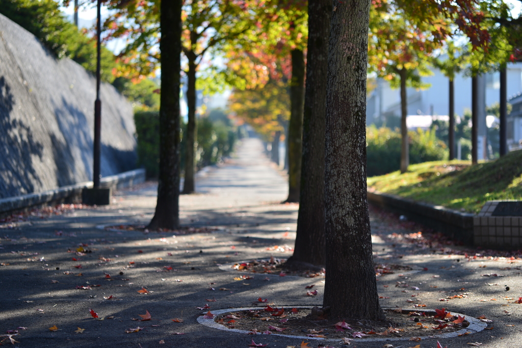 street