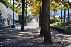 street