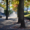 street