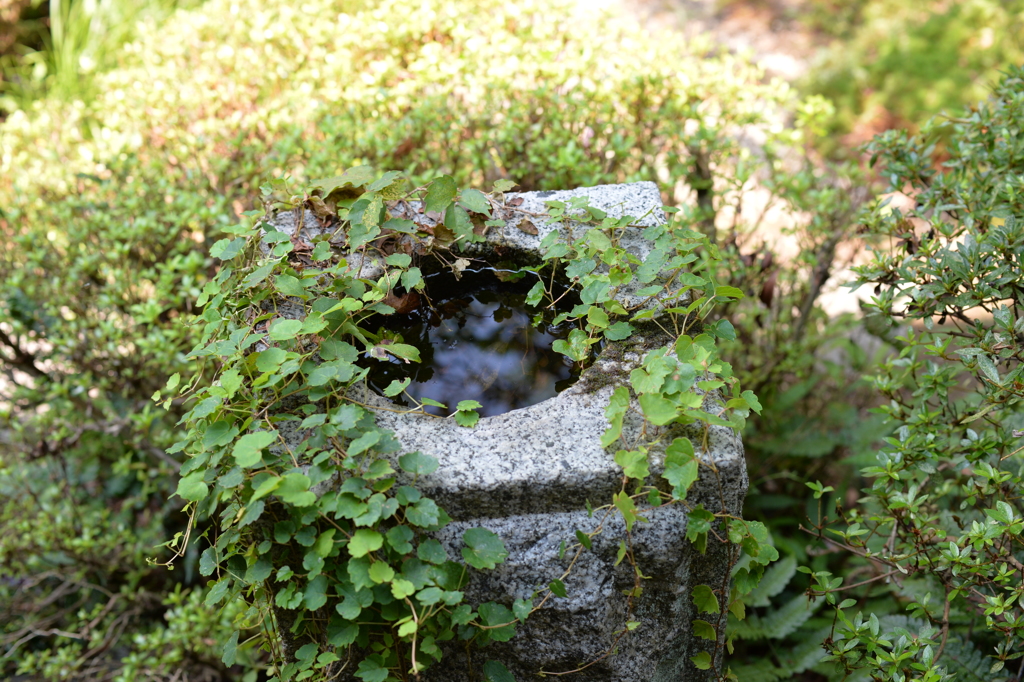 水鏡　秋月 武家屋敷