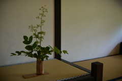 飾り床　秋月 武家屋敷