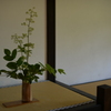 飾り床　秋月 武家屋敷