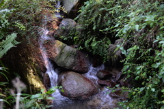 清涼