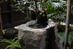 手水　秋月 武家屋敷