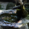 手水　秋月 武家屋敷