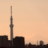 そびえたつ
