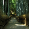 竹林の小径２