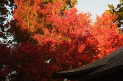 燃える