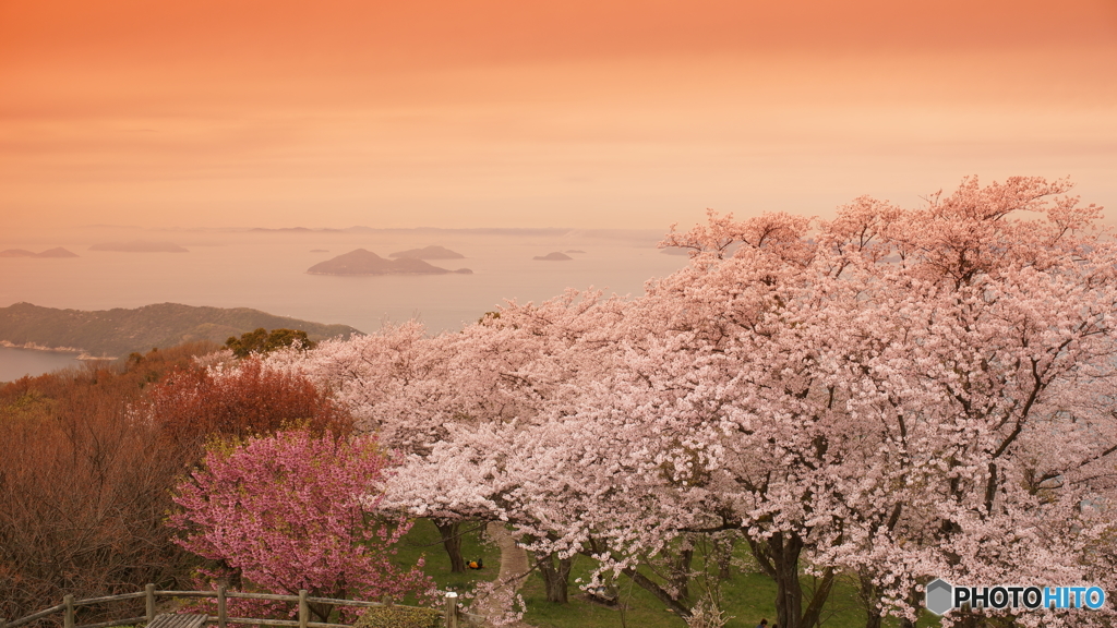 紫雲出山　