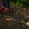 森の中のNewBalance