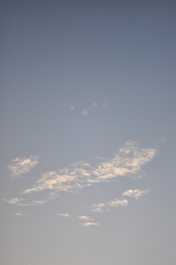 DSC_0132 kumo