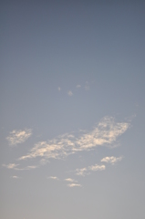 DSC_0132 kumo