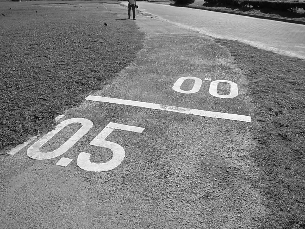R0010278 run