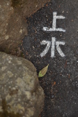 きれいな方の水