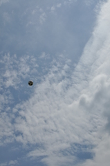 DSC_0385 ball pooon