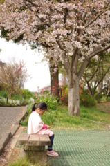 私と桜