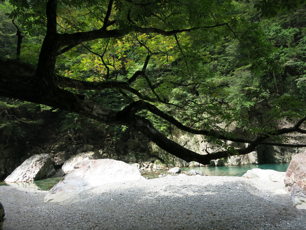 癒しの川原