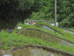 水田 (暗越奈良街道)