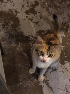 このヒト、ケチとちゃうやろか？