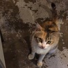 このヒト、ケチとちゃうやろか？
