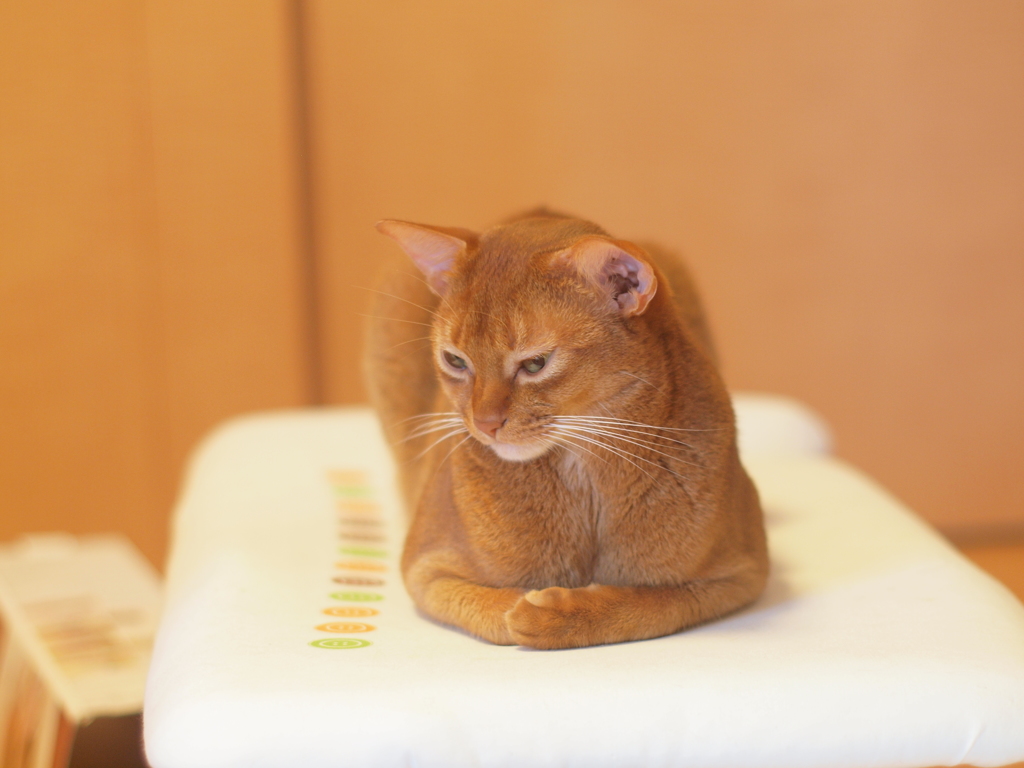 次の質問は？