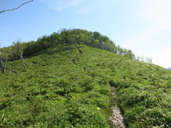 釈迦ヶ岳－孔雀岳　尾根道