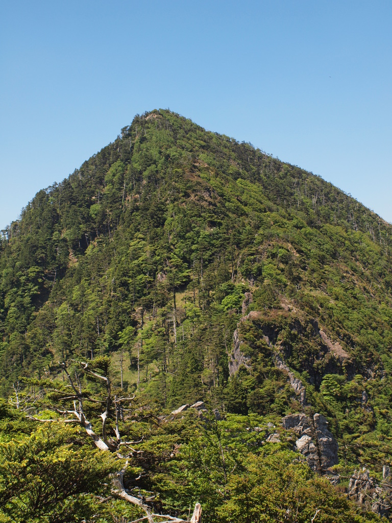 釈迦ヶ岳－孔雀岳　北からの孔雀岳
