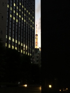 東京の一夜は…