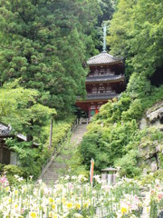 松尾寺（矢田丘陵縦走）